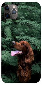 Чехол Собака в зелени для iPhone 12 Pro