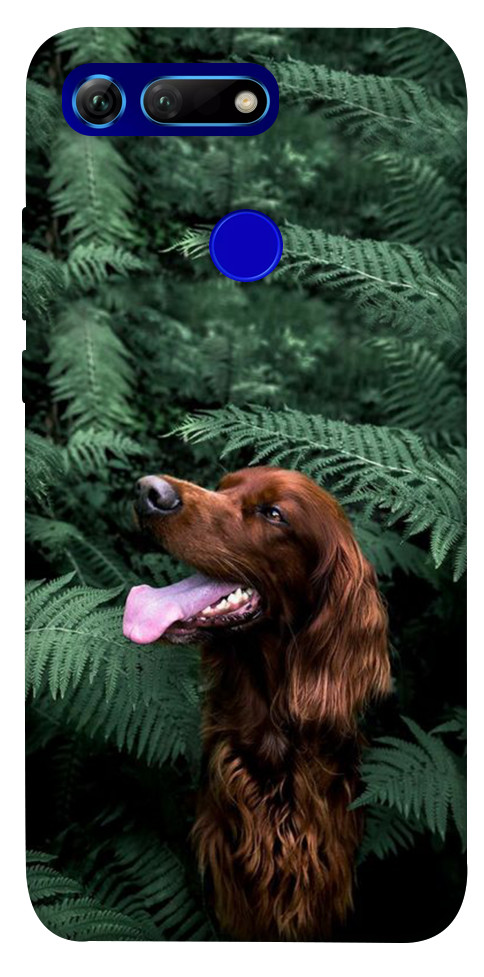 Чехол Собака в зелени для Huawei Honor View 20