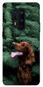 Чехол Собака в зелени для OnePlus 8 Pro