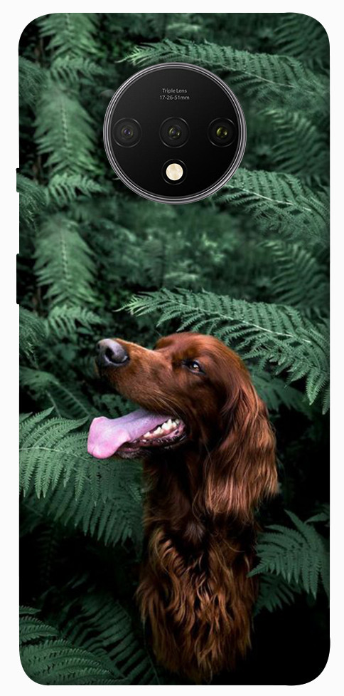 Чехол Собака в зелени для OnePlus 7T