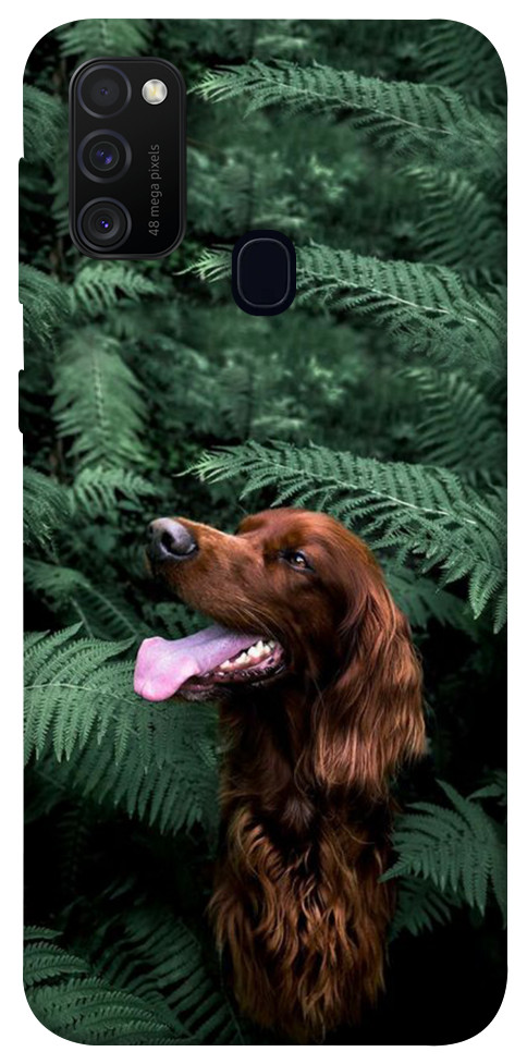 Чехол Собака в зелени для Galaxy M30s