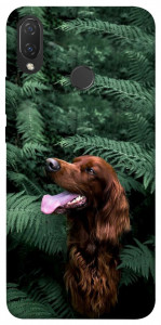 Чехол Собака в зелени для Huawei Nova 3i