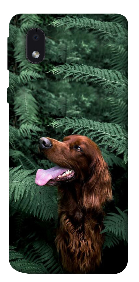 Чехол Собака в зелени для Galaxy M01 Core