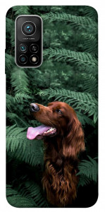 Чехол Собака в зелени для Xiaomi Mi 10T