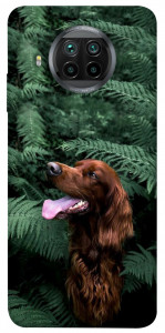 Чехол Собака в зелени для Xiaomi Mi 10T Lite