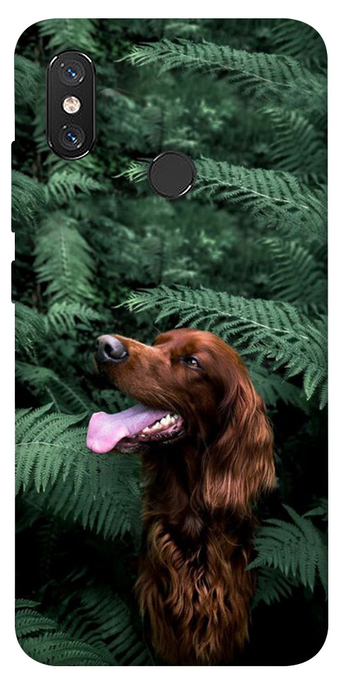 Чехол Собака в зелени для Xiaomi Mi 8