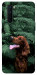 Чехол Собака в зелени для OnePlus Nord