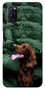 Чехол Собака в зелени для Oppo A72