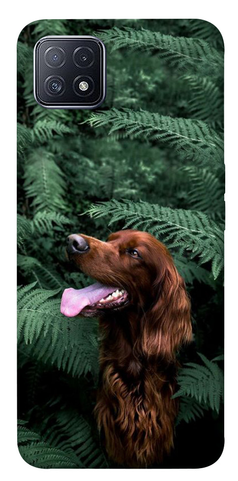 Чехол Собака в зелени для Oppo A73