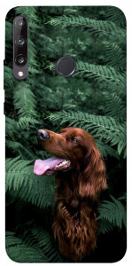 Чехол Собака в зелени для Y7p (2020)