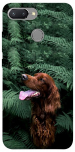 Чехол Собака в зелени для Xiaomi Redmi 6