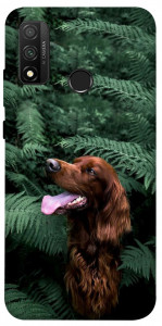 Чехол Собака в зелени для Huawei P Smart (2020)