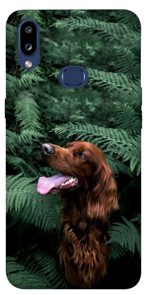 Чехол Собака в зелени для Galaxy M01s