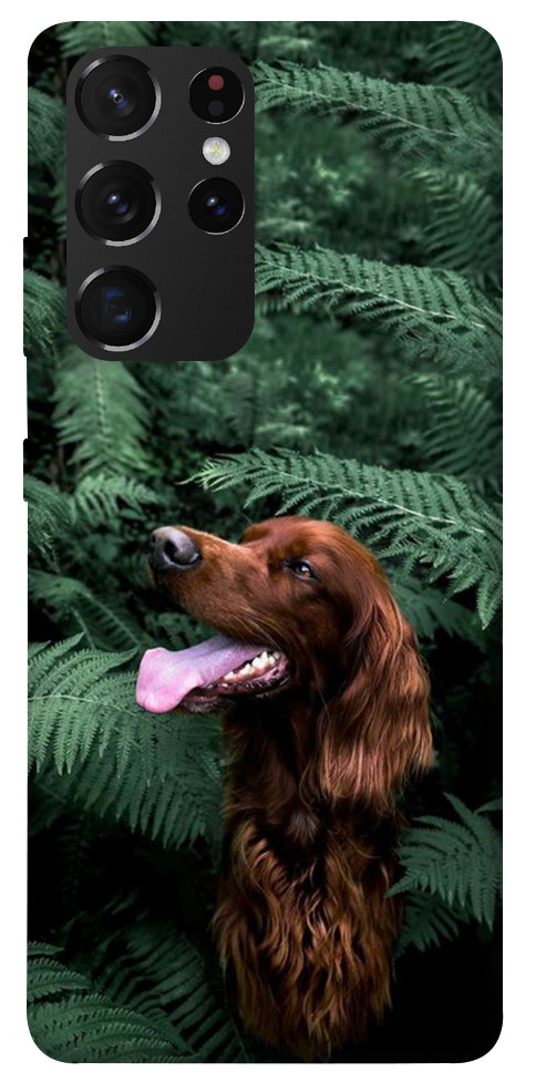 Чехол Собака в зелени для Galaxy S21 Ultra