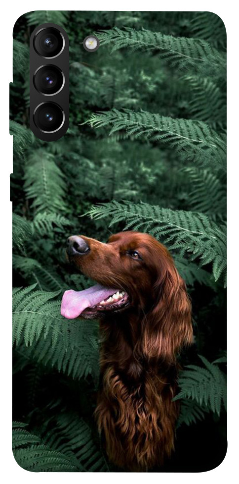 Чехол Собака в зелени для Galaxy S21+