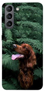 Чехол Собака в зелени для Galaxy S21