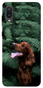 Чехол Собака в зелени для Galaxy A02