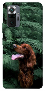 Чехол Собака в зелени для Xiaomi Redmi Note 10 Pro