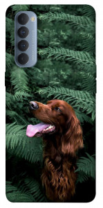 Чехол Собака в зелени для Oppo Reno 4 Pro