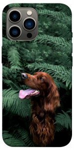 Чехол Собака в зелени для iPhone 13 Pro Max