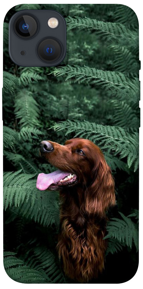 Чехол Собака в зелени для iPhone 13