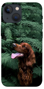 Чехол Собака в зелени для iPhone 13 mini