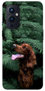 Чехол Собака в зелени для OnePlus 9