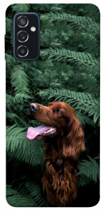 Чехол Собака в зелени для Galaxy M52