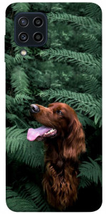 Чехол Собака в зелени для Galaxy M22