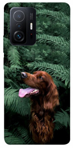 Чохол Собака у зелені для Xiaomi 11T