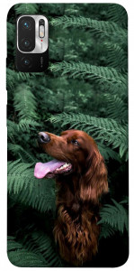 Чехол Собака в зелени для Xiaomi Redmi Note 10 5G