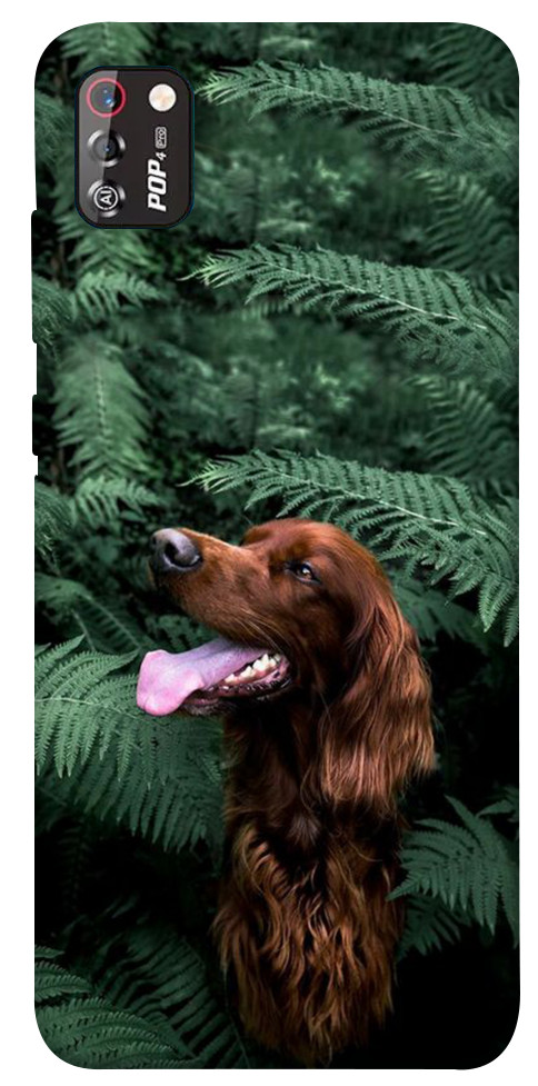 Чехол Собака в зелени для TECNO POP 4 Pro