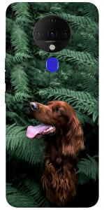 Чехол Собака в зелени для TECNO Spark 6
