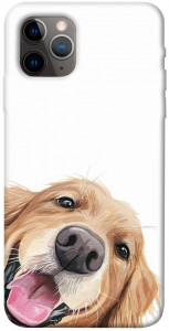 Чехол Funny dog для iPhone 11 Pro