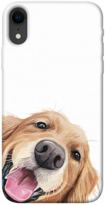 Чохол Funny dog для iPhone XR