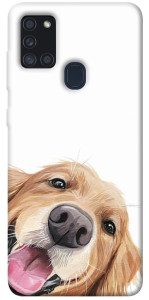 Чехол Funny dog для Galaxy A21s (2020)