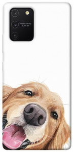 Чехол Funny dog для Galaxy S10 Lite (2020)