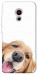 Чохол Funny dog для Meizu Pro 6