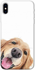 Чохол Funny dog для iPhone XS