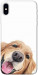 Чехол Funny dog для iPhone XS