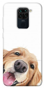 Чохол Funny dog для  Xiaomi Redmi Note 9