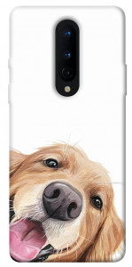 Чохол Funny dog для OnePlus 8