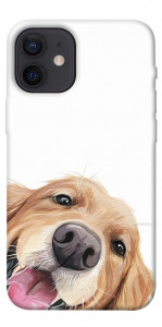 Чохол Funny dog для iPhone 12 mini