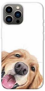 Чехол Funny dog для iPhone 12 Pro Max