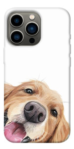 Чохол Funny dog для iPhone 13 Pro