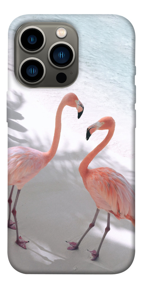 Чохол Flamingos для iPhone 13 Pro