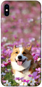 Чохол Коргі в квітах для iPhone XS Max