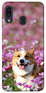 Чохол Коргі в квітах для Samsung Galaxy A30