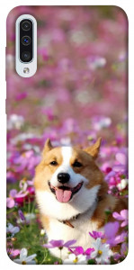 Чохол Коргі в квітах для Samsung Galaxy A50 (A505F)