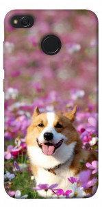 Чохол Коргі в квітах для Xiaomi Redmi 4X